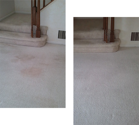 K L M Carpet Cleaning Before And After
