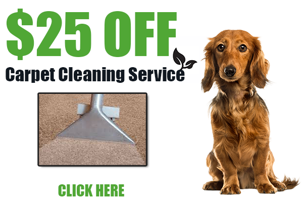 Houston Texas Carpet Cleaning Special Offer